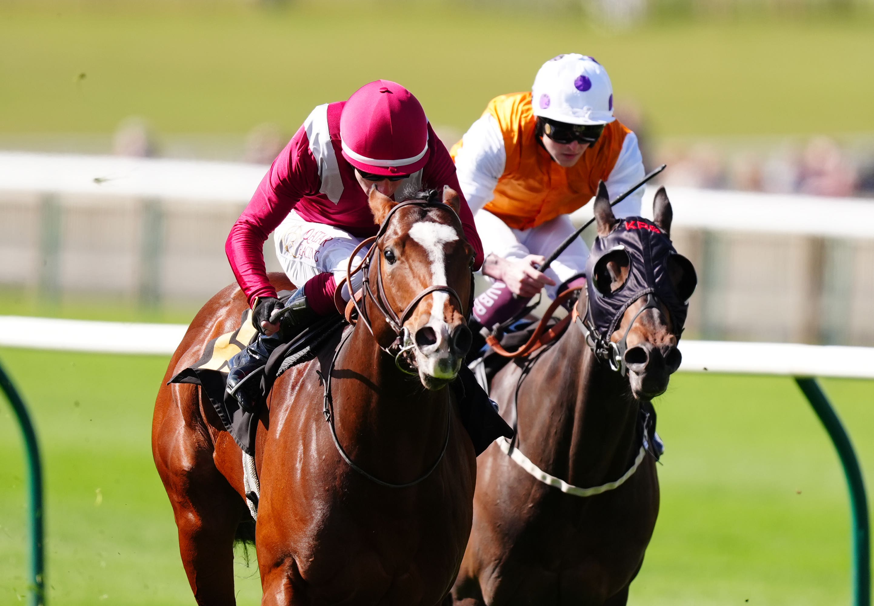Sajir winning at Newmarket earlier this season